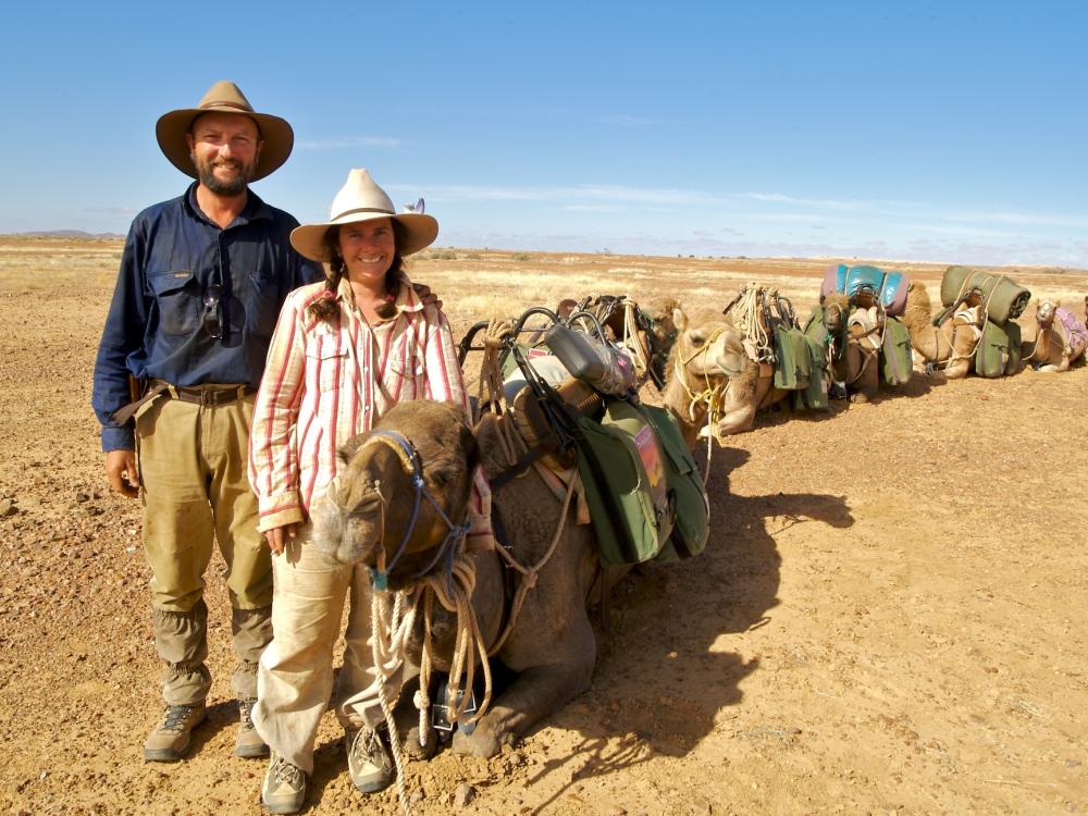 Central desert camel rides
