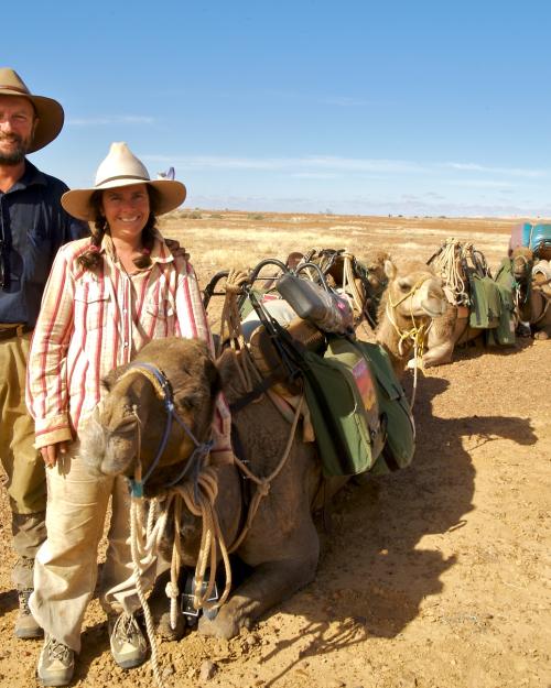 Central desert camel rides