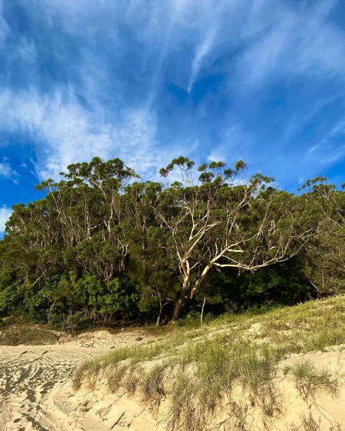 Beachside piccys Australia